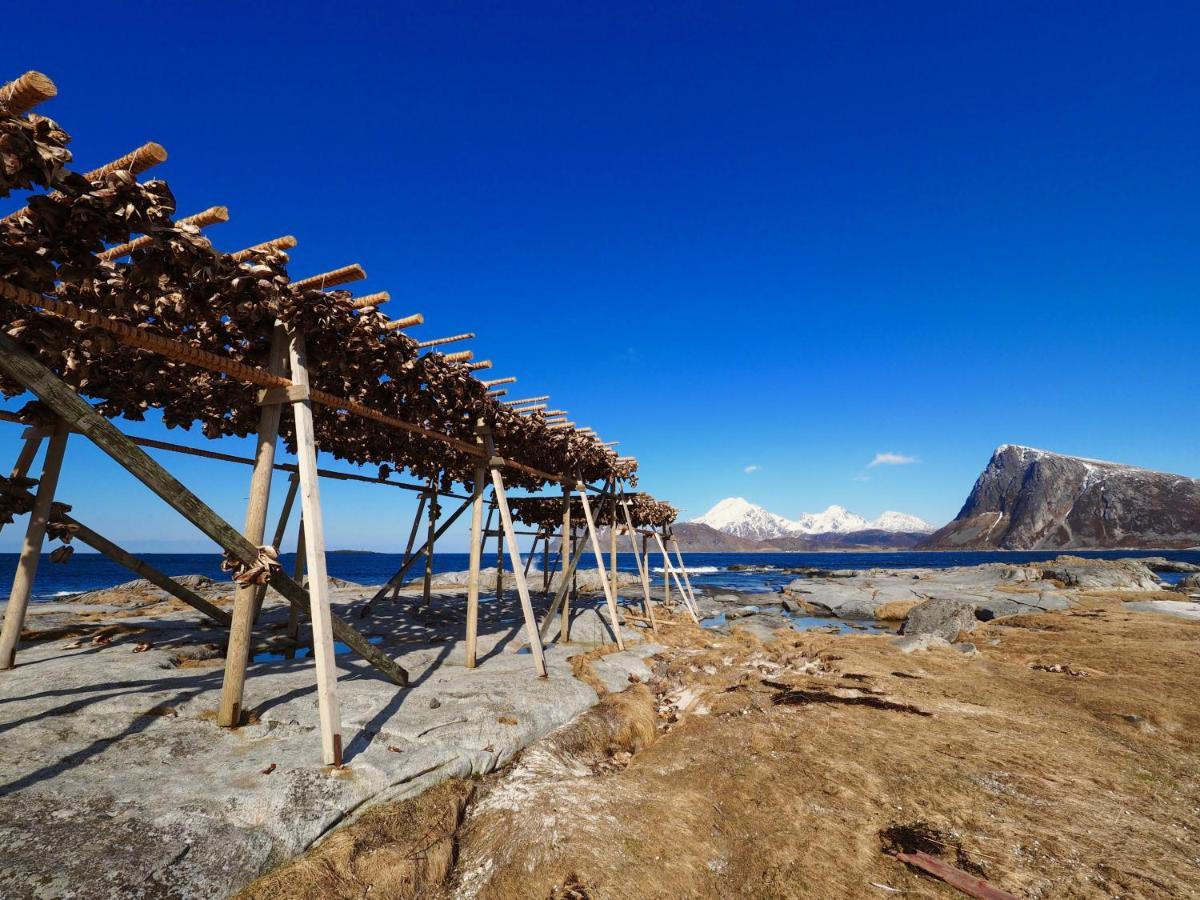 Feriehus Mortsund Lofoten *